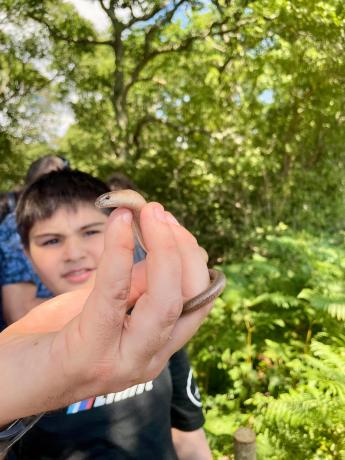Conserving the environment at schools