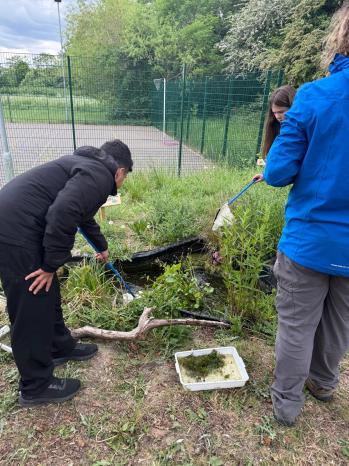 Green education of school pupils